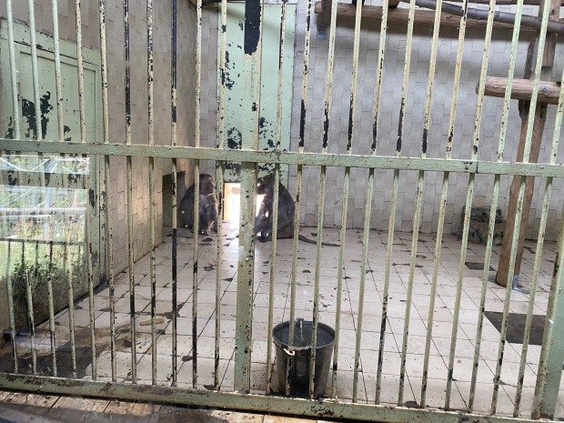 Известен политолог захапа Фандъкова заради Зоологическата