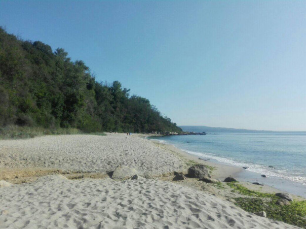 Нашенец качи снимки от уникален плаж, който се намира близо