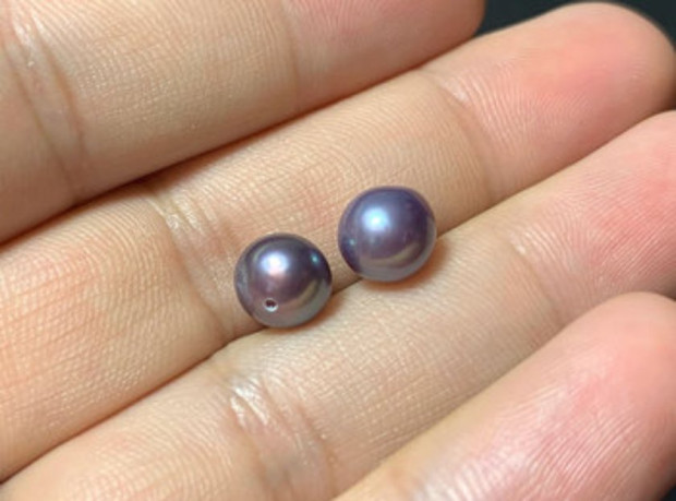 Цената на една от най търсените перли японската Акоя се