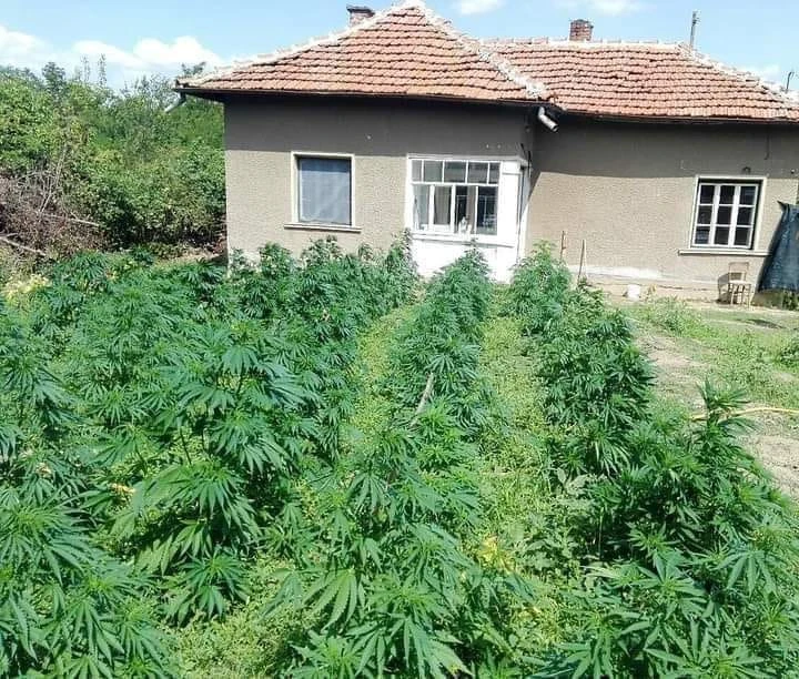 Цената на обявен за продажба имот до Пловдив буквално взриви мрежата
