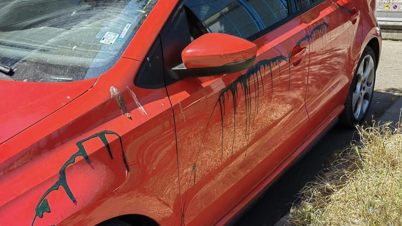 ���� ���� � ������! ������ ���� � �����