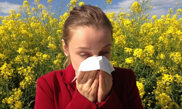 По данни на СЗО алергиите са на четвърто място сред