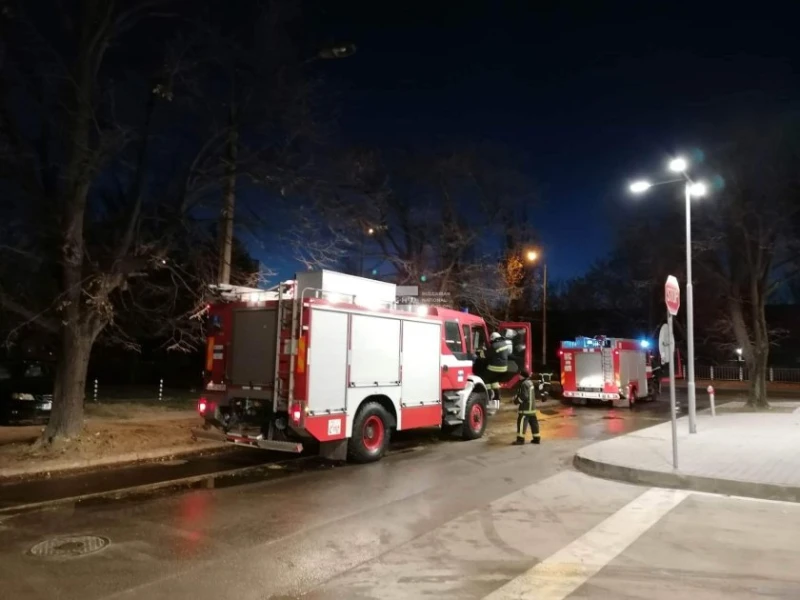 Голям пожар в завода за храни и фуражи за животни край Ловеч