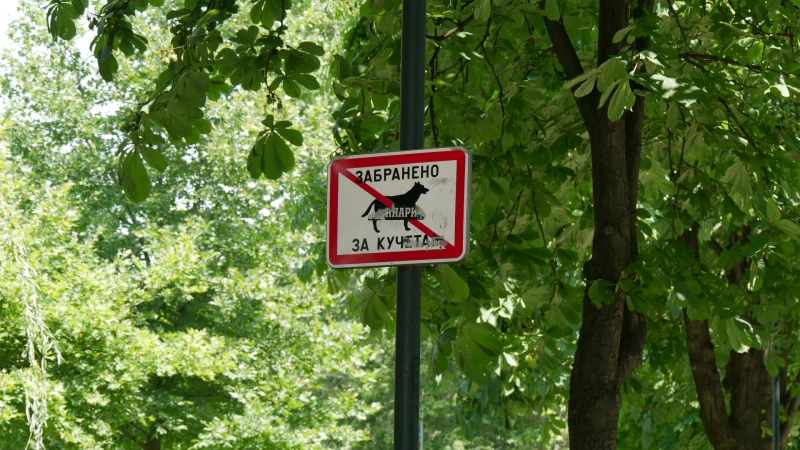 Потресаващи гледки в Цар Симеоновата градина