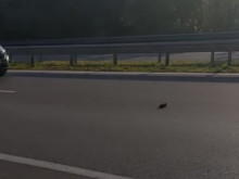 ���� ������� ���� ������������ � ������� ������ ��, ��������� � ��������