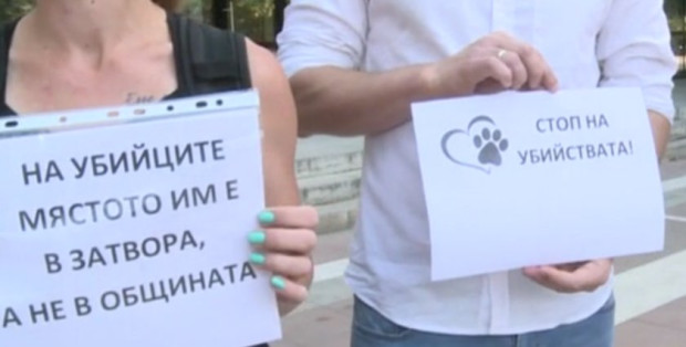 Арестуваха общински служители в Благоевград след сигнал за убийства на кучета