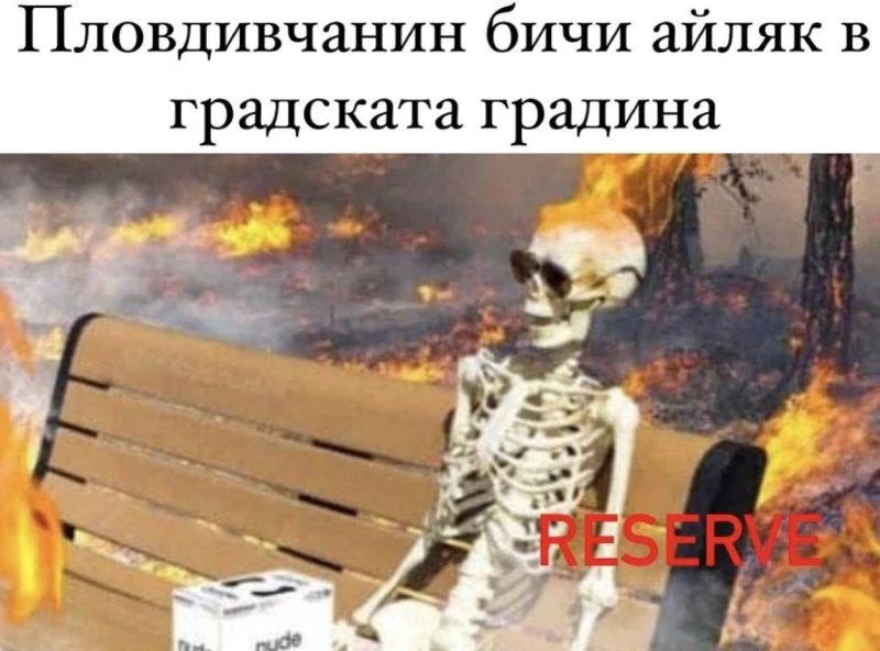 Адската жега в Пловдив стана повод за забавни колажи в мрежата
