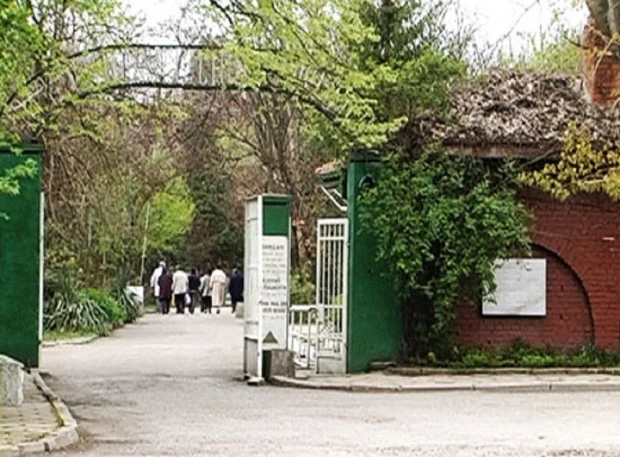 Отделението за зависимости в Психиатричната болница в Раднево отново е пълно