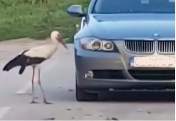 ������ ������ �� ���������� � ������� ������ �� �������