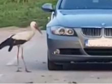 ������ ������ �� ���������� � ������� ������ �� �������