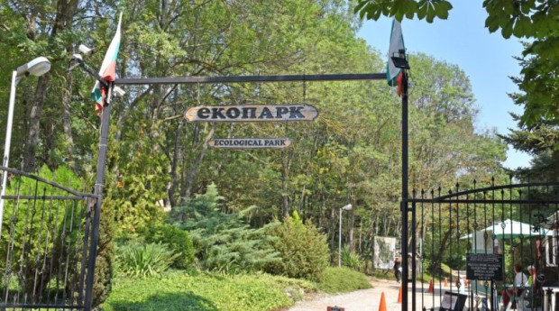 Един човек е починал а четирима са пострадали в Екопарка във Варна
