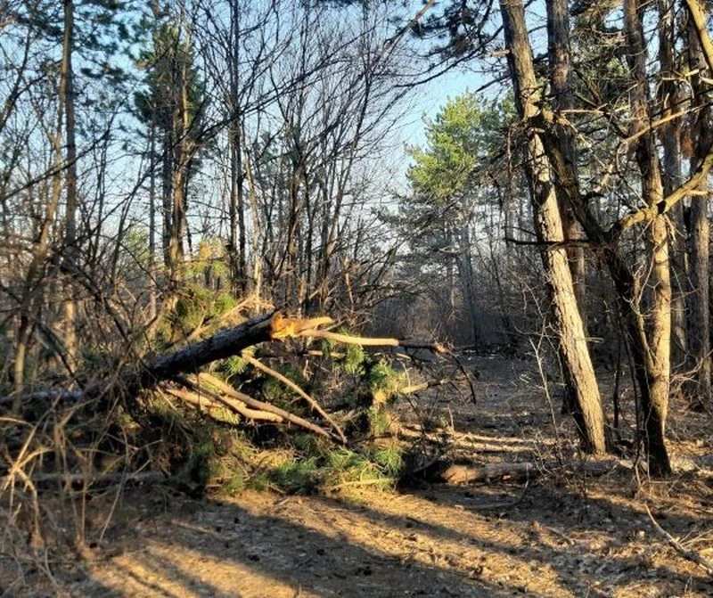 Стана ясно кои са двамата мъже, паднали в дере до пловдивско село