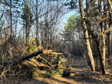 Стана ясно кои са двамата мъже, паднали в дере до пловдивско село