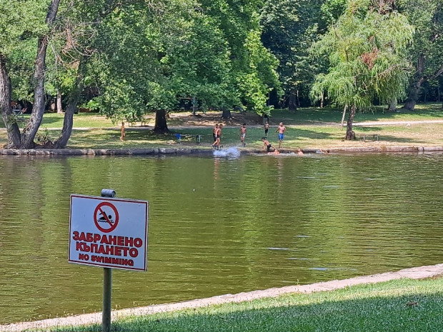 </TD
>Благоевградският парк Бачиново се превърна в плувен басейн в съботния
