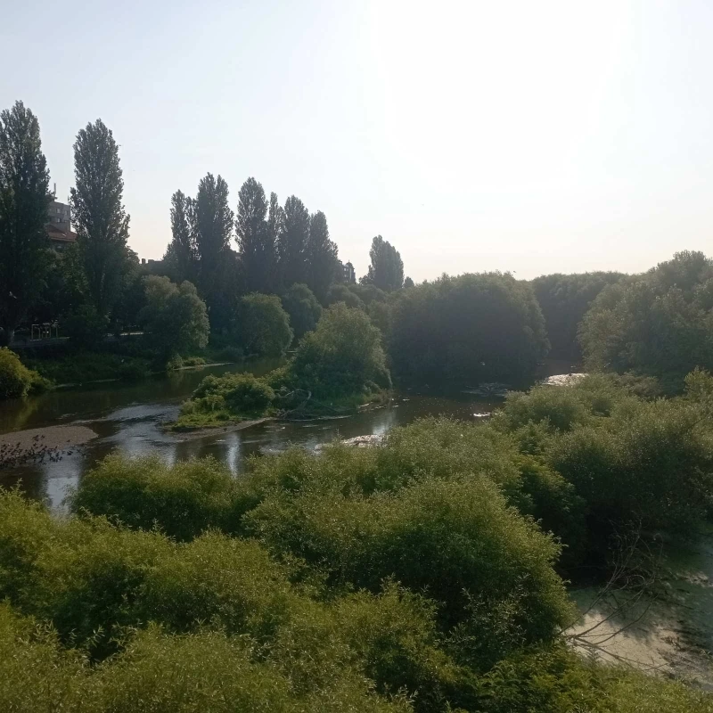 Река Марица се e превърнала в мочурище
