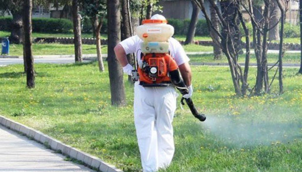 TD Дезинсекцията срещу комари в Пловдив продължава по следния предварителен