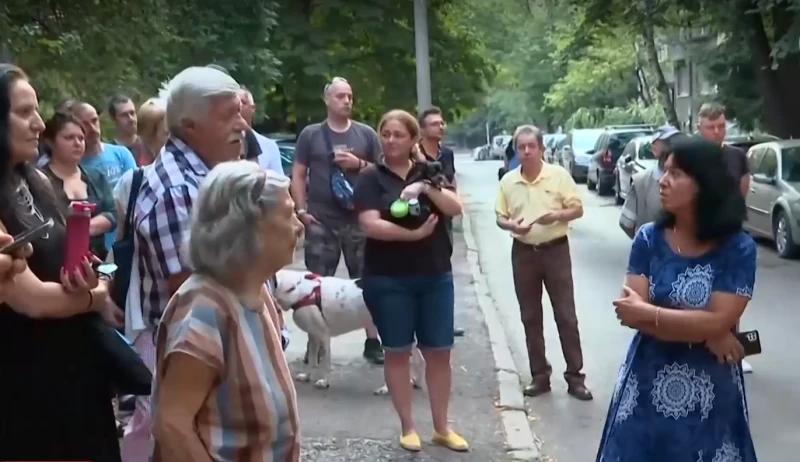 Софиянци недоволстват: Твърдо са против изсичането на дървета