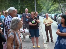 Софиянци недоволстват: Твърдо са против изсичането на дървета