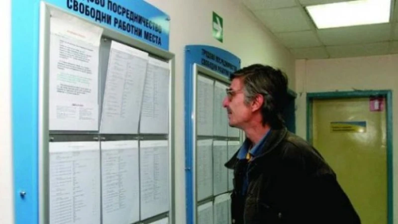 Ето в кои сектори има най-много свободни работни места