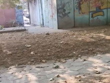 И той душа носи: Огромен плъх се разходи из Пловдив