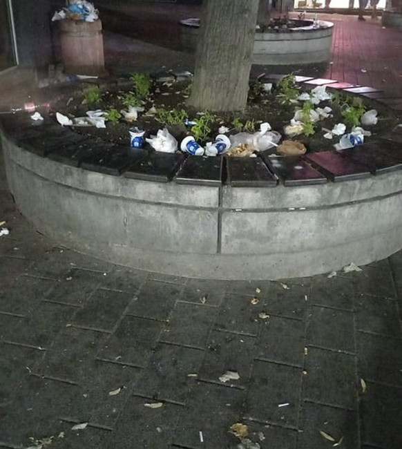 TD Грозна гледка от боклуци хвърлени в цветарниците на малката главна