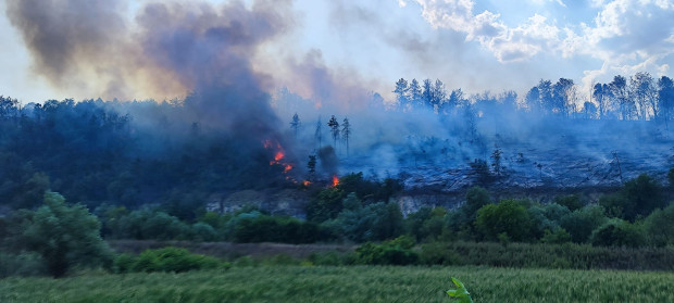 </TD
>Огромният пожар край Русе е напълно овладян след пет часа
