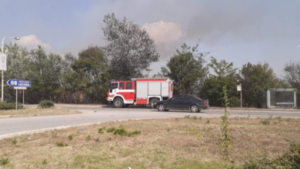 TD Няма възобновяване на пожара в гората край кварталите Средна кула и Долапите