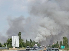 Големият пожар до АМ "Тракия" край Пловдив e локализиран и овладян