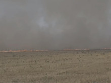 Пожар в Пловдив, огънят е в близост до къщи