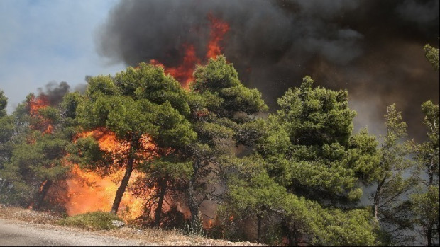 Пожарът на остров Родос бушува вече шести ден, като операциите