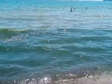 ������� ����� �� ���� �� ����� ���� ������ �������� ������� � ��������� �������� ��� ������