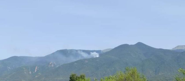 Горски пожар е възникнал в землището на село Ресилово Община
