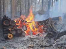 Първи кадри от пожара в Рила