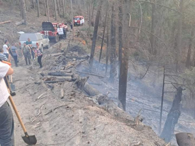 Продължават гасителните действия на пожара в Рила, съобщиха за Фокус“