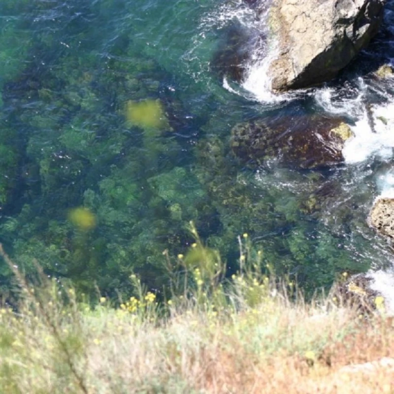 Необичайни горещини в Добричко и необичайно студена морска вода край Шабла