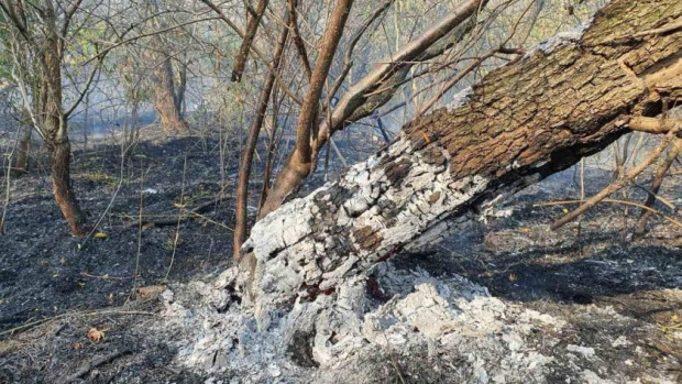 8 големи пожара продължават да горят в област Хасково От