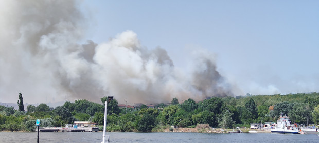 Вчера в Белослав кв Акация изгоряха 14 000 м2 В