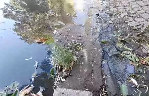 Вода се лее по улица "Кавала", ВиК-Пловдив си трае