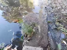 Вода се лее по улица "Кавала", ВиК-Пловдив си трае