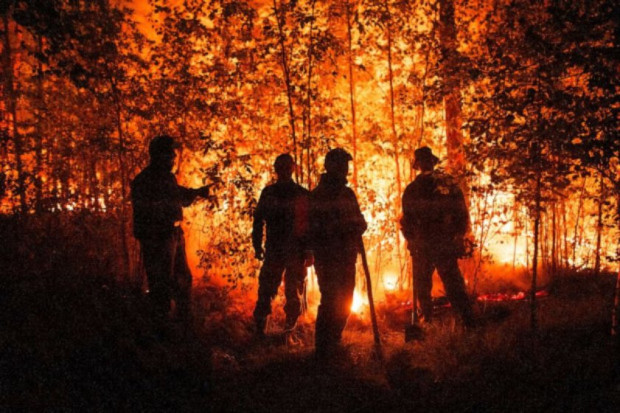 Пожарникарите в Гърция са се борили с 51 нови горски