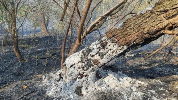 Пожарът край село Дъбовец е локализиран Три дни там и