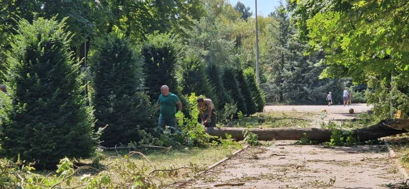 Продължава почистването след бурята в Търговище