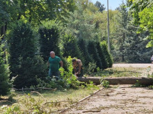 Продължава почистването след бурята в Търговище