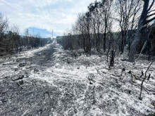 Овладяха пожара край село Свирачи