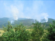 Декар гора изгоря край Лясково