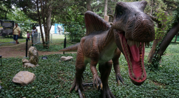 TD Във връзка с предстоящото откриване на изложба Живите динозаври в