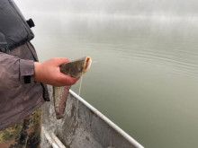 ИАРА засилва проверките за риболов, призовава за спазване на правилата
