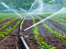 От 21 август земеделците могат да кандидатстват по помощта за напояване
