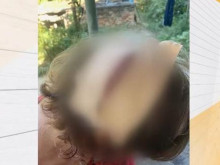 ��� ����� ���� � �������, �������� �� ������ �