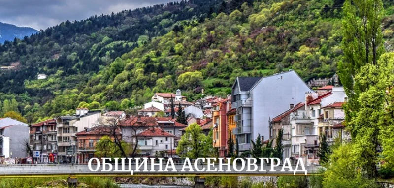 Безплатна правна консултация за потърпевши от домашно насилие в пловдивска обищна